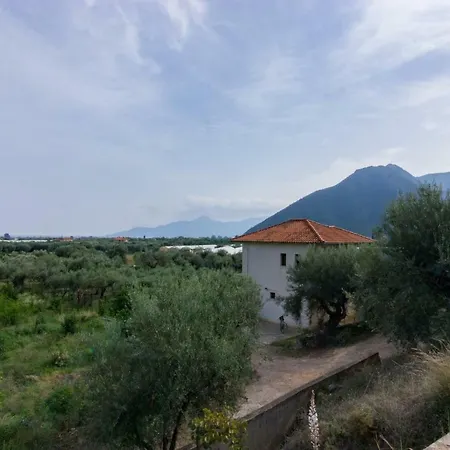 Thodoris's Rock House